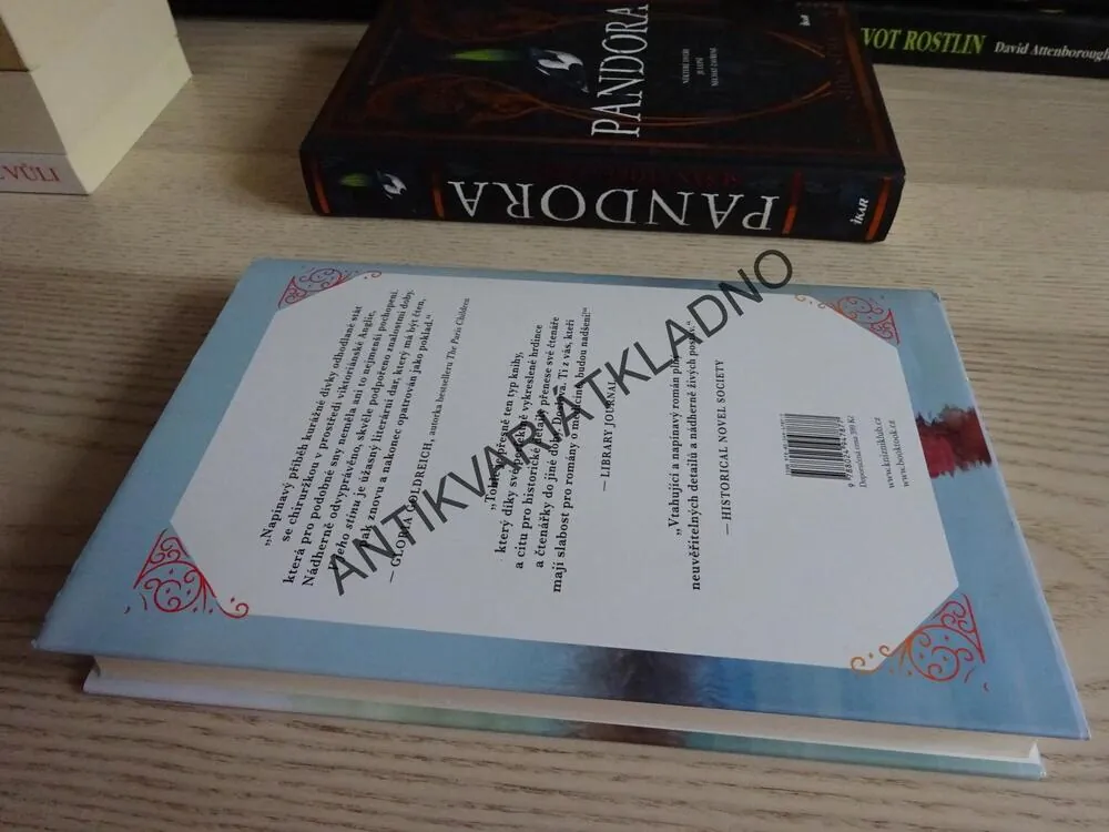 V JEHO STÍNU, AUDREY BLAKE, **an