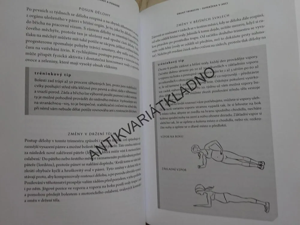 TĚHOTNÁ A FIT, KRISTINA PINTOVÁ, **an