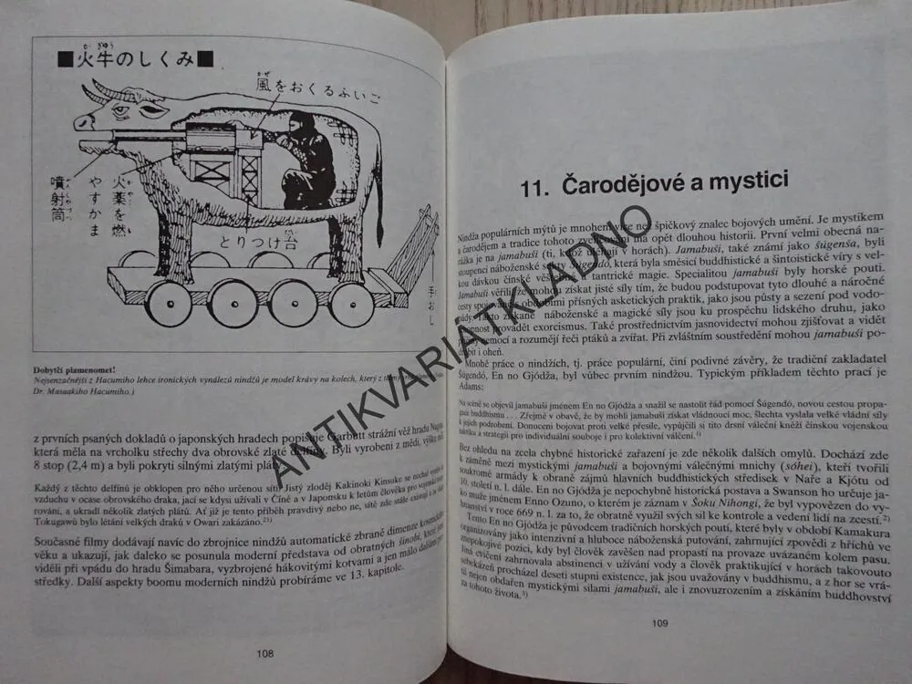 NINDŽA, KULT JAPONSKÉHO TAJNÉHO BOJE BEZ PŘÍKRAS, STEPHEN TURNBULL, **an
