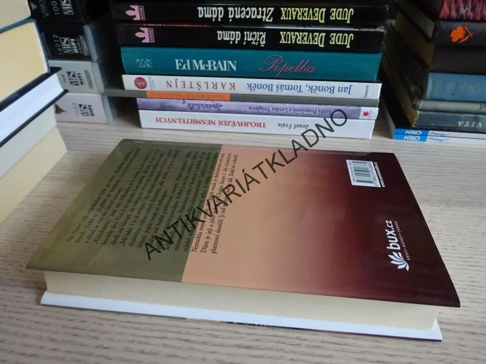DŮM NA CHARLES STREET, DANIELLE STEELOVÁ, **an
