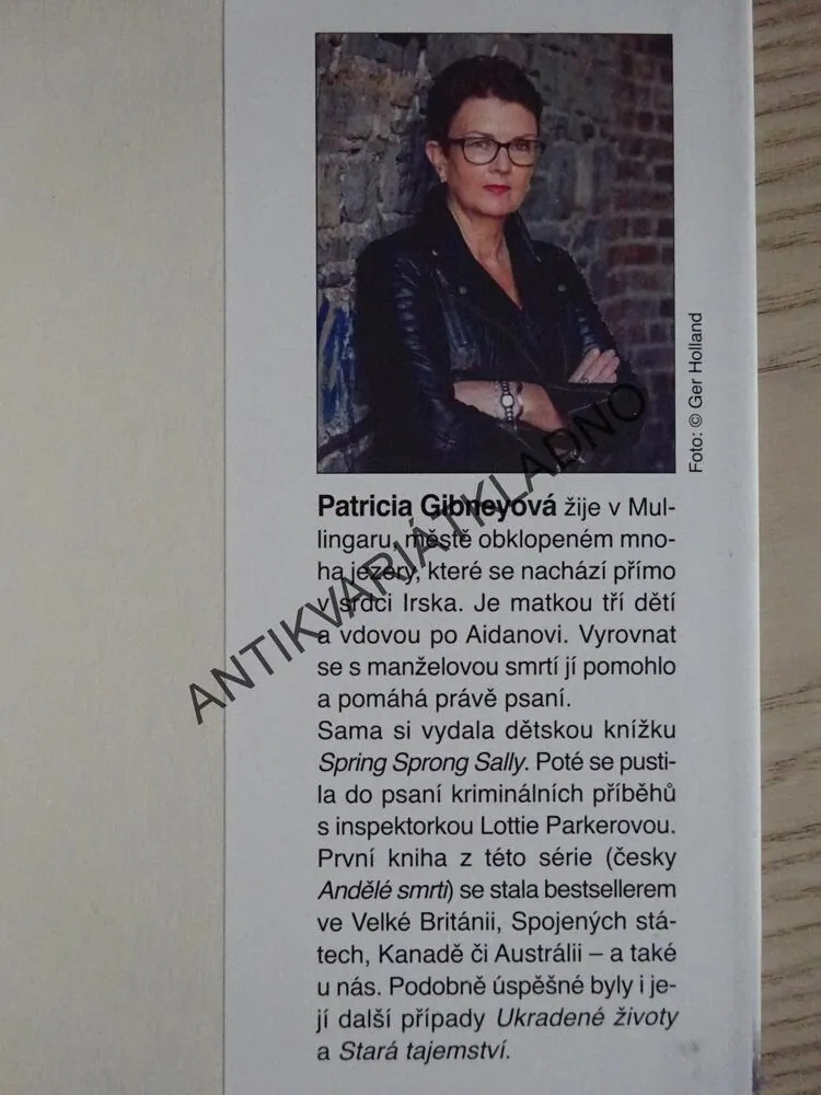 NEBEZPEČNÁ MÍSTA, PATRICIA GIBNEYOVÁ, **an