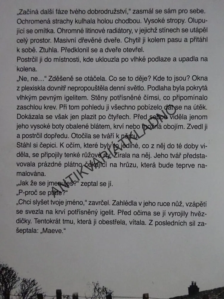 UKRADENÉ ŽIVOTY, PATRICIA GIBNEYOVÁ, **an