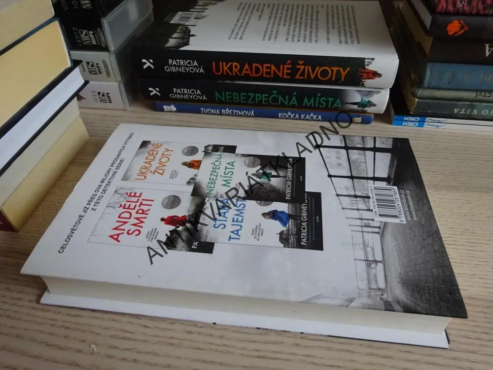 ANI SLOVO, PATRICIA GIBNEYOVÁ, **an