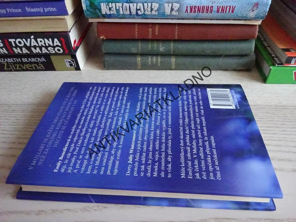 DÍVKA, KTERÁ SAHALA PO HVĚZDÁCH, SARAH ADDISON ALLENOVÁ, **an