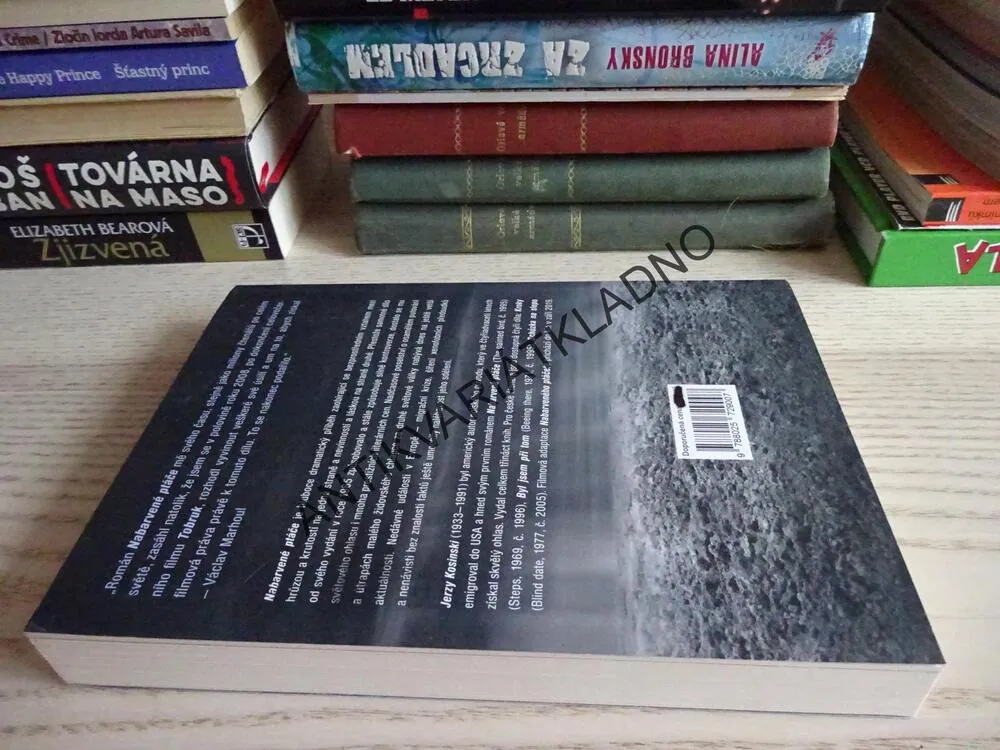 NABARVENÉ PTÁČE, JERZY KOSINSKI, **an