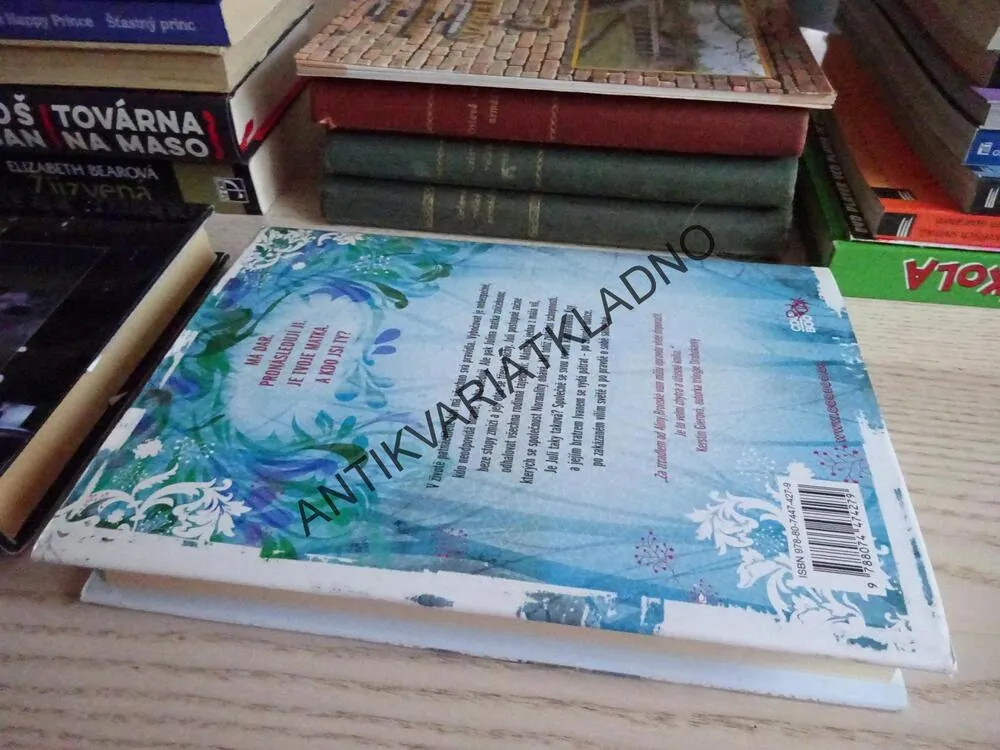 ZA ZRCADLEM, ALINA BRONSKY, **an