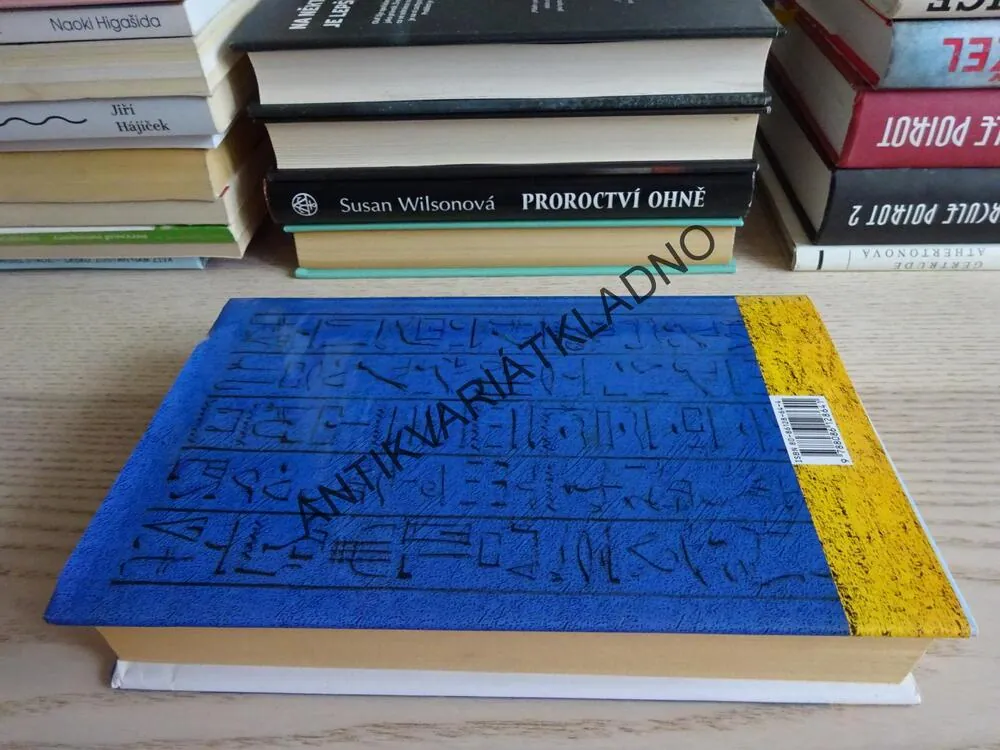 ODRAZY V NILU, J.SUZANNE FRANK, **an