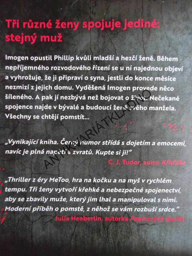 NÁŠ MANŽEL, JO JAKEMAN, **an