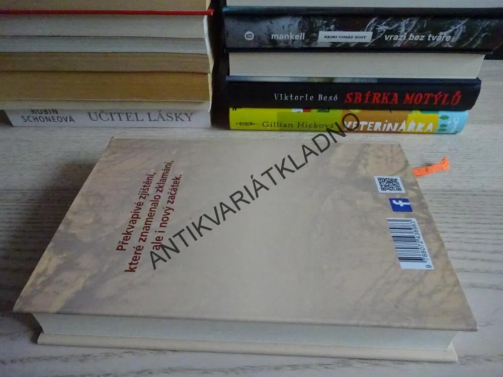 SRAZ V KAVÁRNĚ VÍDEŇ, ZUZANA ZIMMERMANNOVÁ, **an