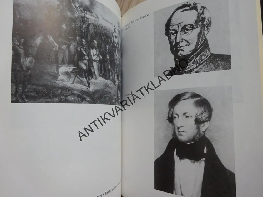 METTERNICH KONTRA NAPOLEON, JAROSLAV ŠEDIVÝ, **an
