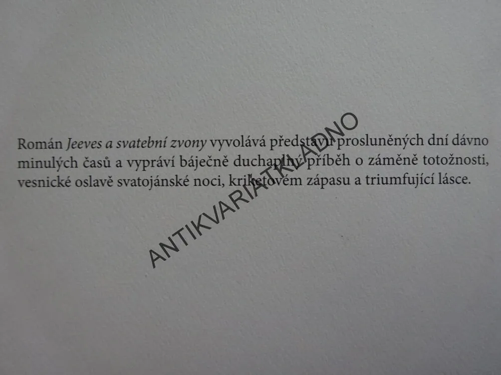 JEEVES A SVATEBNÍ ZVONY, SEBASTIAN FAULKS, **an