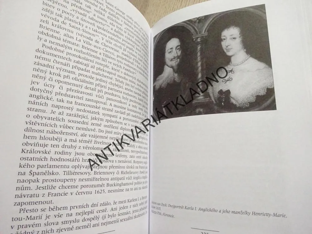 VÉVODA Z BUCKHINGHAMU, MICHEL DUCHEIN, **an