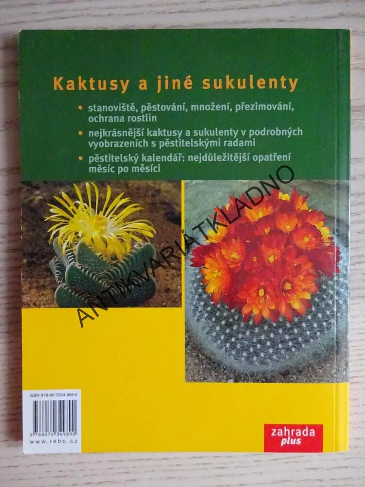 KAKTUSY A JINÉ SUKULENTY, ELISABETH MANKE, **an