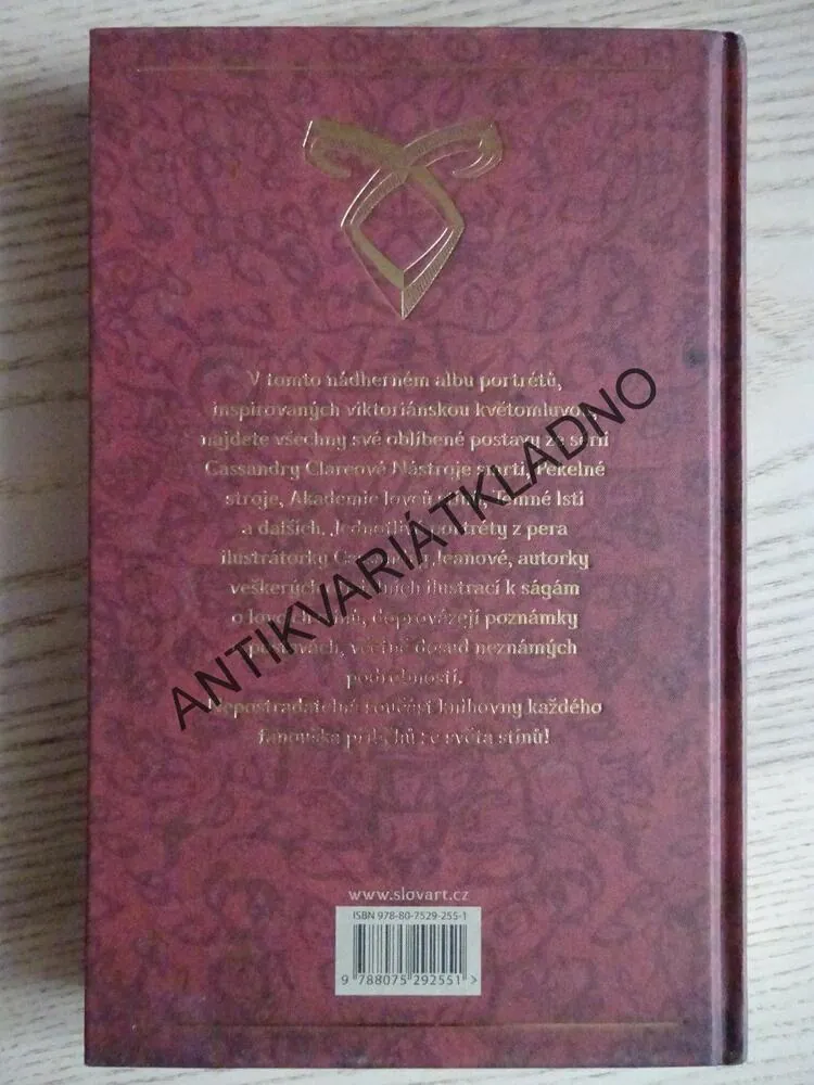 KDO JE KDO VE SVĚTĚ STÍNŮ, CASSANDRA CLAREOVÁ, **an