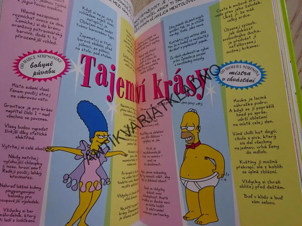 BART SIMPSON, PRŮVODCE ŽIVOTEM, SIMPSONOVI, **an