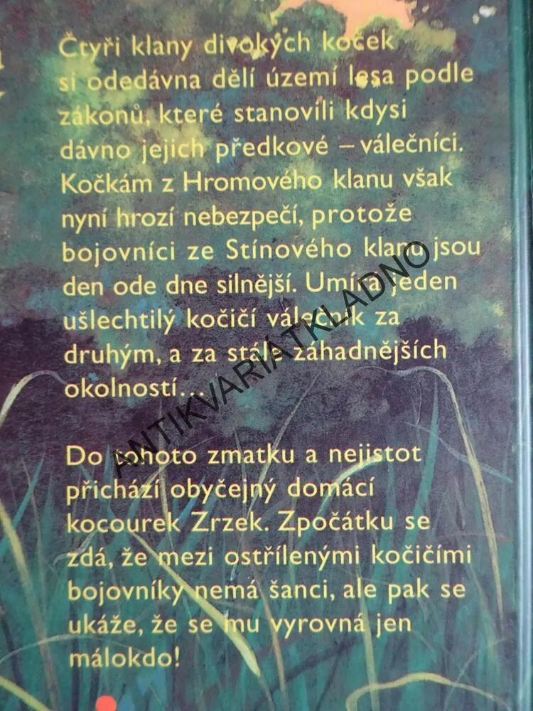 DIVOKÉ KOČKY, ERIN HUNTEROVÁ, **an