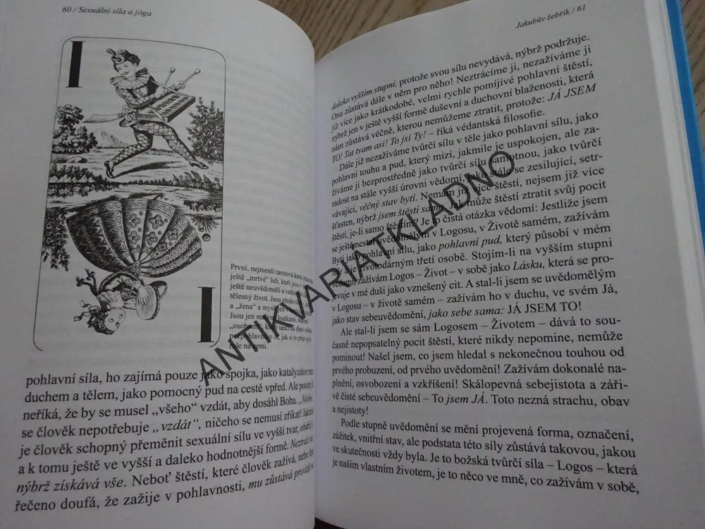 SEXUÁLNÍ SÍLA A JÓGA, ELISABETH HAICH, **an
