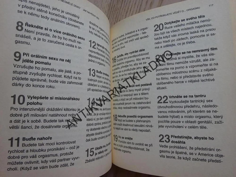 PRŮVODCE PRO NESMĚLÉ DÍVKY, JAK NA PĚKNÝ SEX, ANITA NAIK, **an