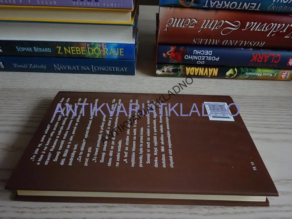 A PAVOUK PŘICHÁZÍ, JAMES PATTERSON, **an