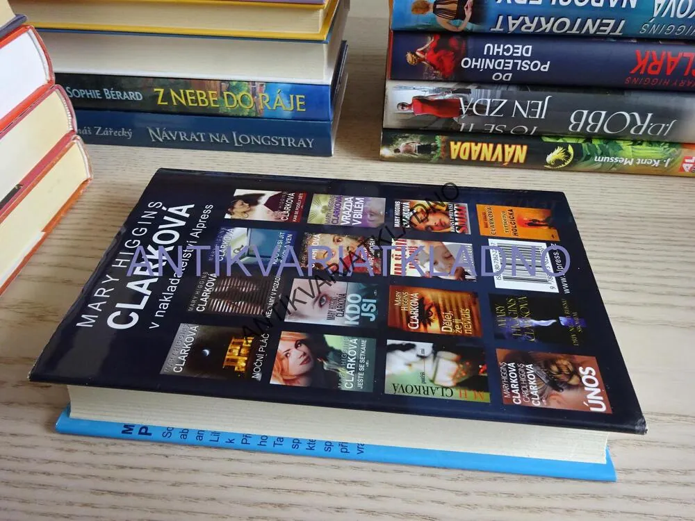 POD ROUŠKOU NOCI, MARY HIGGINS CLARKOVÁ, **an