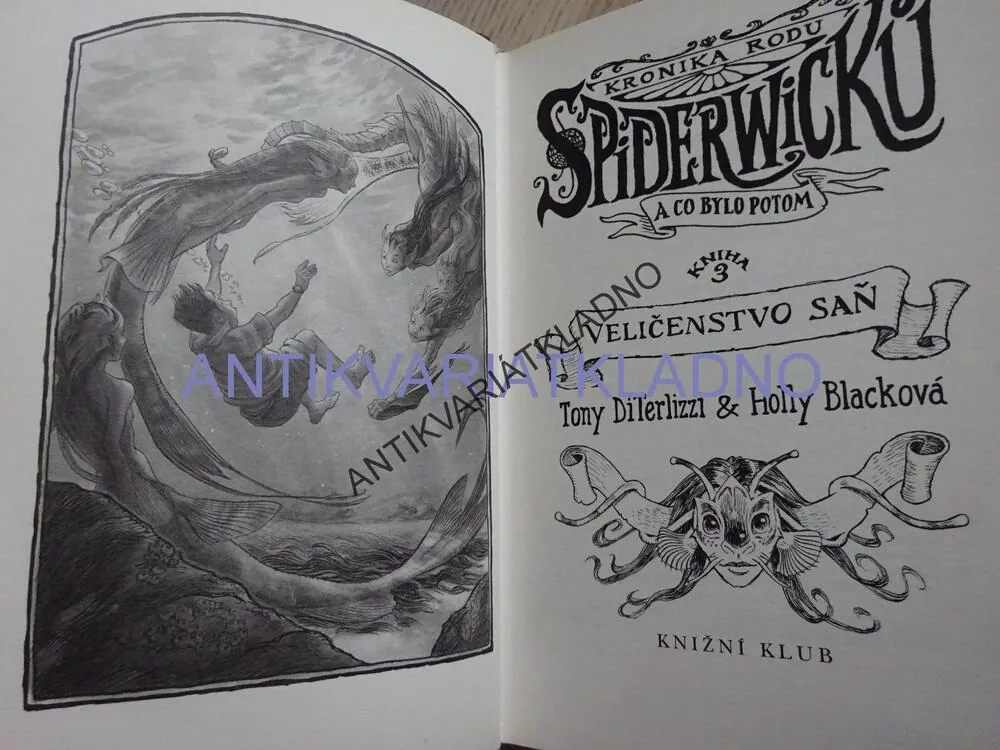 KRONIKA RODU SPIDERWICKŮ 3, VELIČENSTVO SAŇ, TONY DITERLIZZI, HOLLY BLACKOVÁ, **an