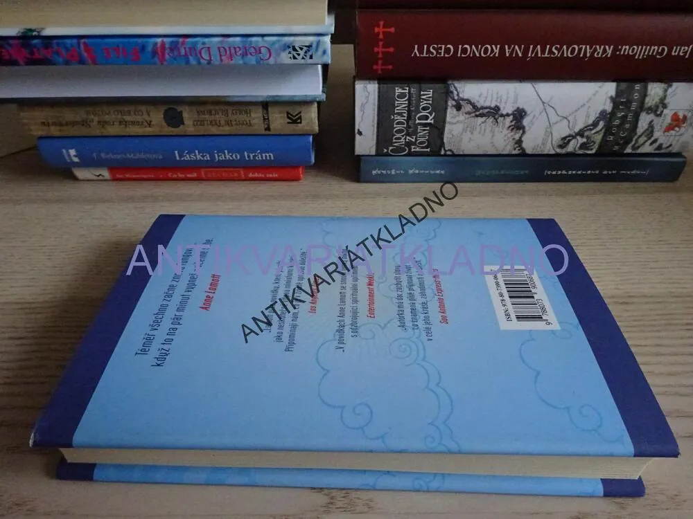 MALÁ VÍTĚZSTVÍ, ANNE LAMOTTOVÁ, **an