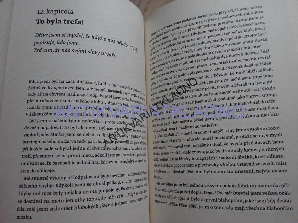 LÁSKA KONAJÍCÍ, BOB GOFF, **an