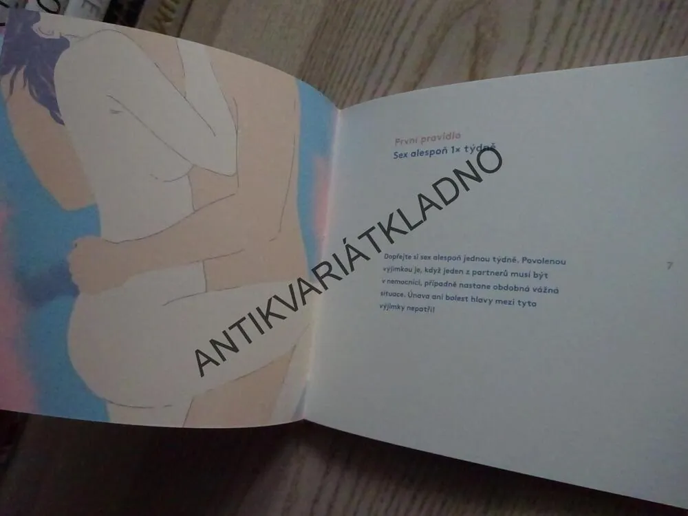 DESATERO SPOKOJENÉHO VZTAHU, DANICA ŠEBESTOVÁ, **an