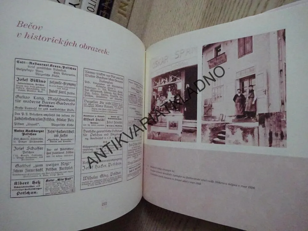 BEČOV - PERLA SLAVKOVSKÉHO LESA, LUDĚK JAŠA, JANA DYEDEKOVÁ, **an