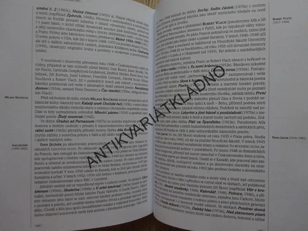 PANORAMA ČESKÉ LITERATURY (1), DO ROKU 1989, LUBOMÍR MACHALA A KOL.