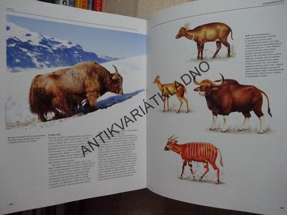 VELKÁ ENCYKLOPEDIE, ZVÍŘATA, **an