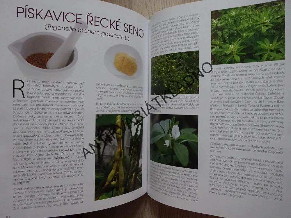 EXOTICKÉ KOŘENÍ S RECEPTY, PAVEL SEDLÁČEK, **an