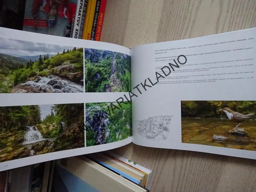 KRAJINOU DOMOVA, PETR KREJČÍ, **an