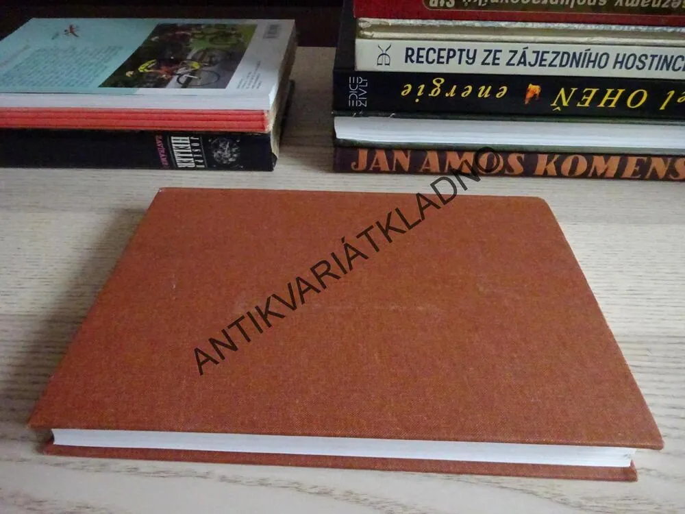 BEZEJMENNÁ RODINA, JULES VERNE, **an