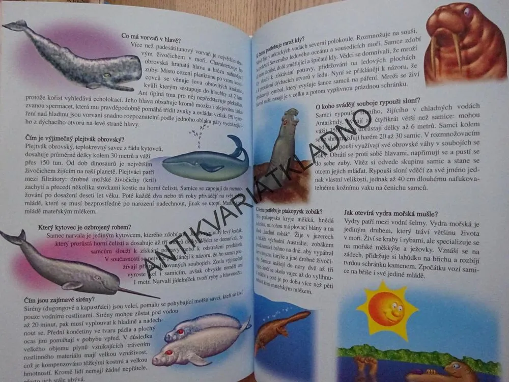 VELKÁ KNIHA OTÁZEK A ODPOVĚDÍ PRO MALÉ ŠKOLÁKY, UŽ TO VÍM!, **an
