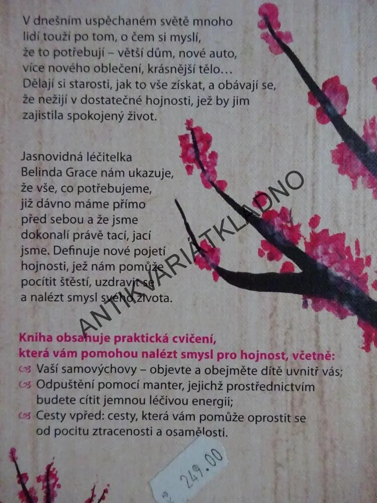 ŽIJTE V HOJNOSTI, BELINDA GRACE, **an