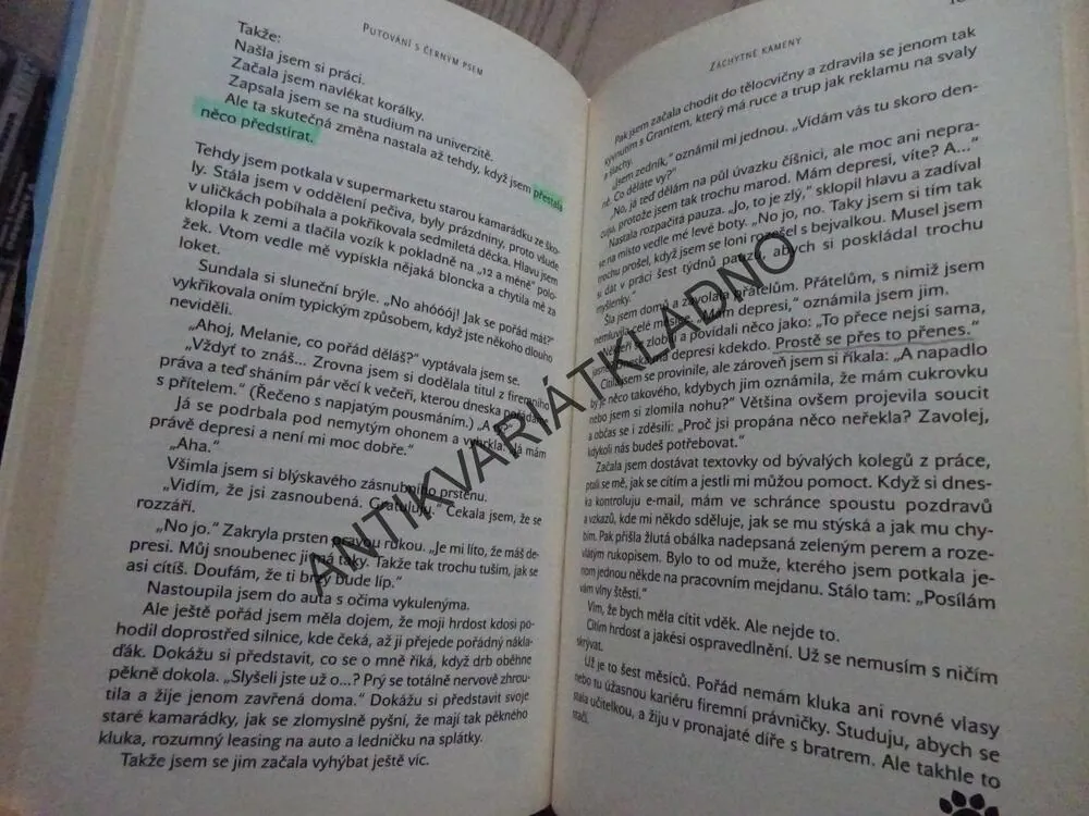 PUTOVÁNÍ S ČERNÝM PSEM, WIGNEYOVÁ, EYERSOVÁ, PARKER, **an