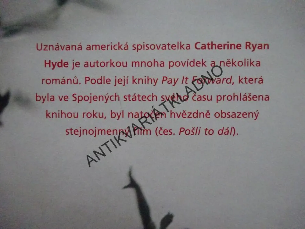 LÁSKA V ČASE PŘÍTOMNÉM, CATHERINE RYAN HYDEOVÁ, **an