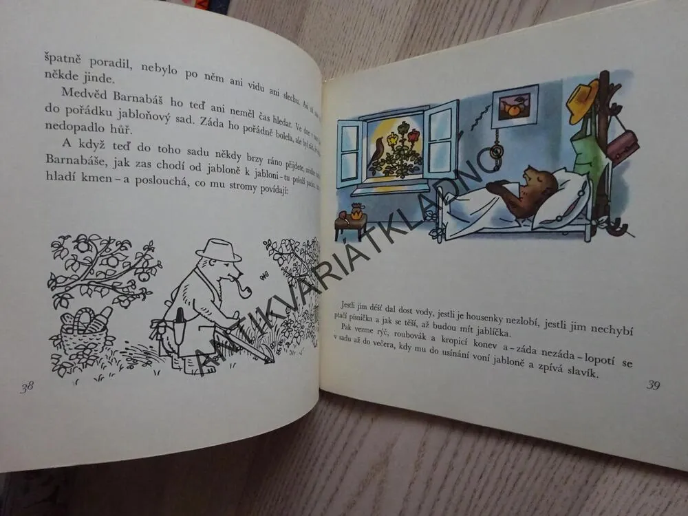MEDVĚDÍ POHÁDKY, HANA DOSKOČILOVÁ, **an