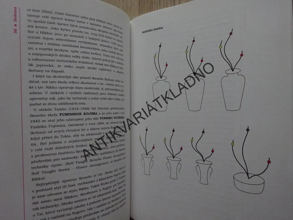 IKEBANA, DAGMAR KOŽUŠNÍKOVÁ, **an