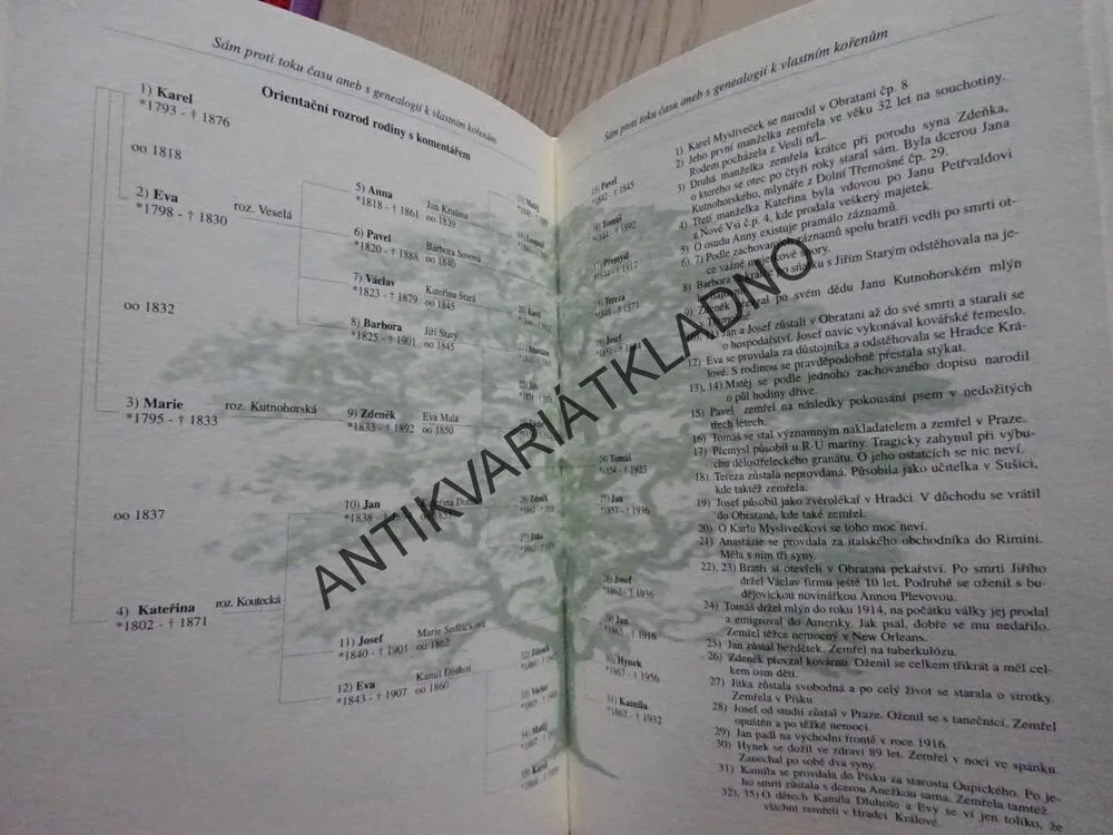 SÁM PROTI TOKU ČASU ANEB S GENEALOGIÍ K VLASTNÍM KOŘENŮM, HENRY POHANKA