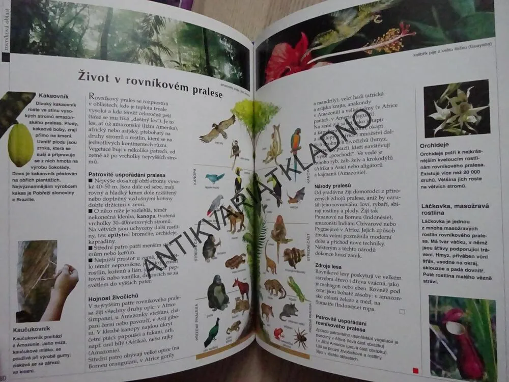 OBJEVOVÁNÍ ZEMĚ, ŠKOLNÍ ENCYKLOPEDIE PRO MLÁDEŽ, **an
