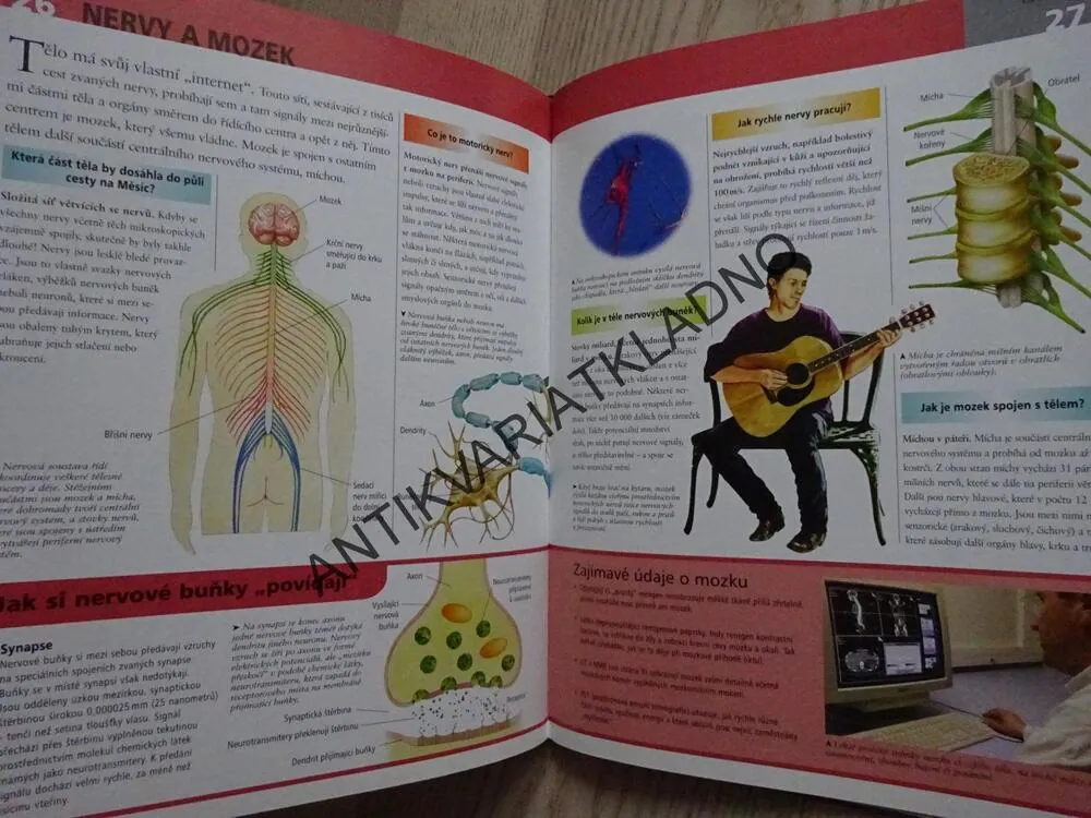 LIDSKÉ TĚLO, OTÁZKY A ODPOVĚDI, **an