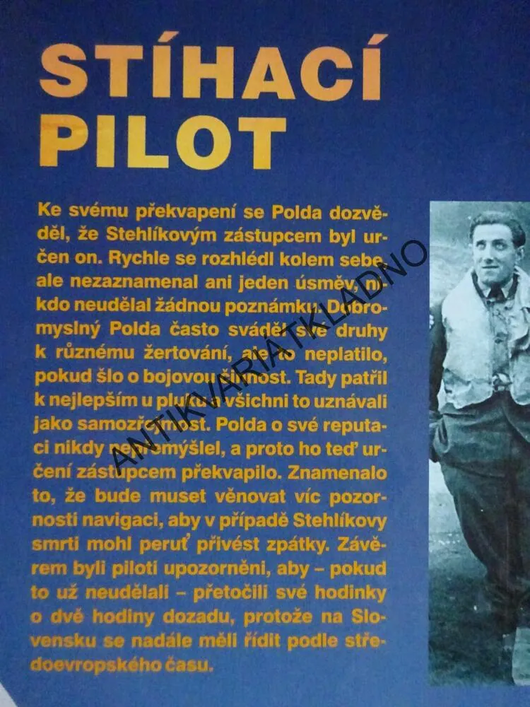STÍHACÍ PILOT, JIŘÍ RAJLICH, JIŘÍ SEHNAL, **an 