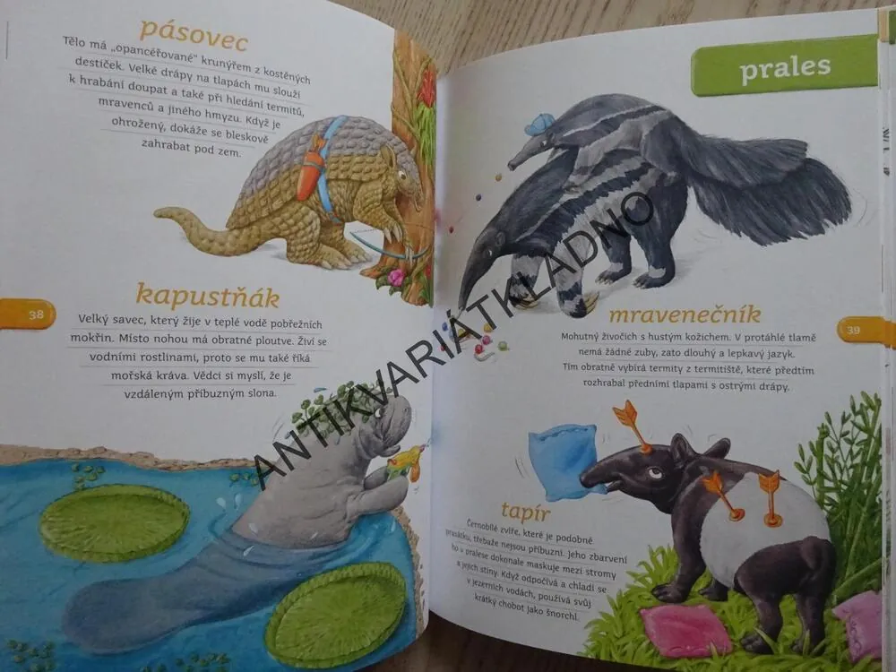 NAUČ MĚ POZNÁVAT ZVÍŘÁTKA, PAVEL PECINA, **an