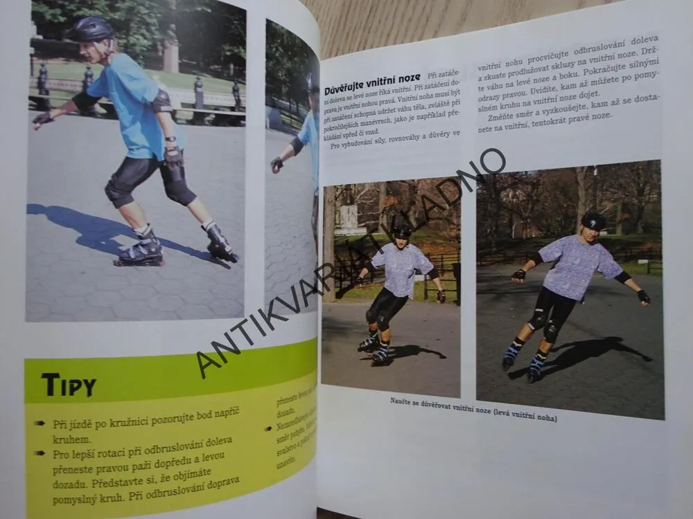 IN-LINE BRUSLENÍ PRO ZAČÁTEČNÍKY I POKROČILÉ, CAM MILLAR, **an