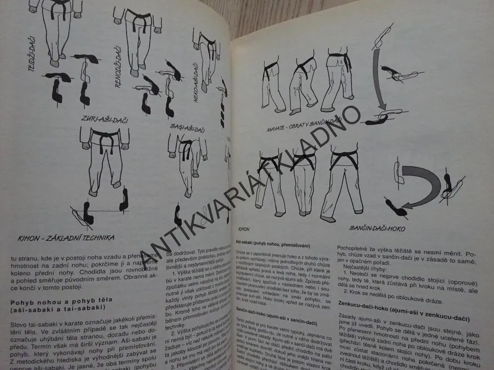 KARATE KATA, FRANTIŠEK ŠEBEJ, **an