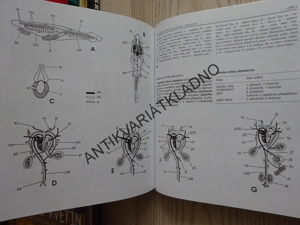 ZOOLOGIE, MIROSLAV PAPÁČEK, **an
