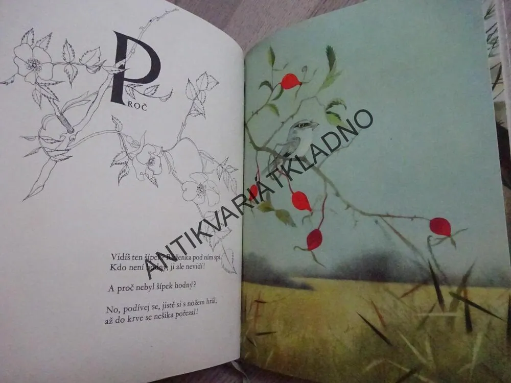 HALAS DĚTEM, OTA JANEČEK, **an
