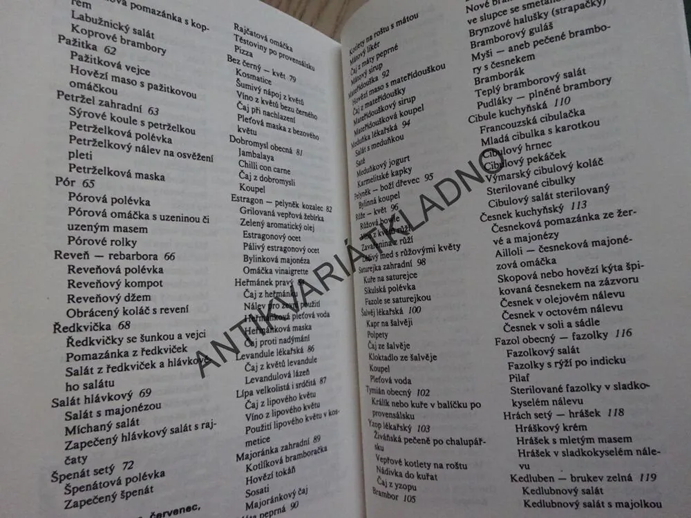Z LESA I ZE ZAHRADY OD JARA DO ZIMY, DAGMAR LÁNSKÁ, **an